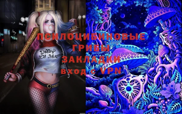 амф Белоозёрский