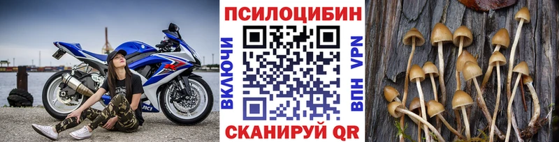 Галлюциногенные грибы мицелий  Верхняя Пышма 